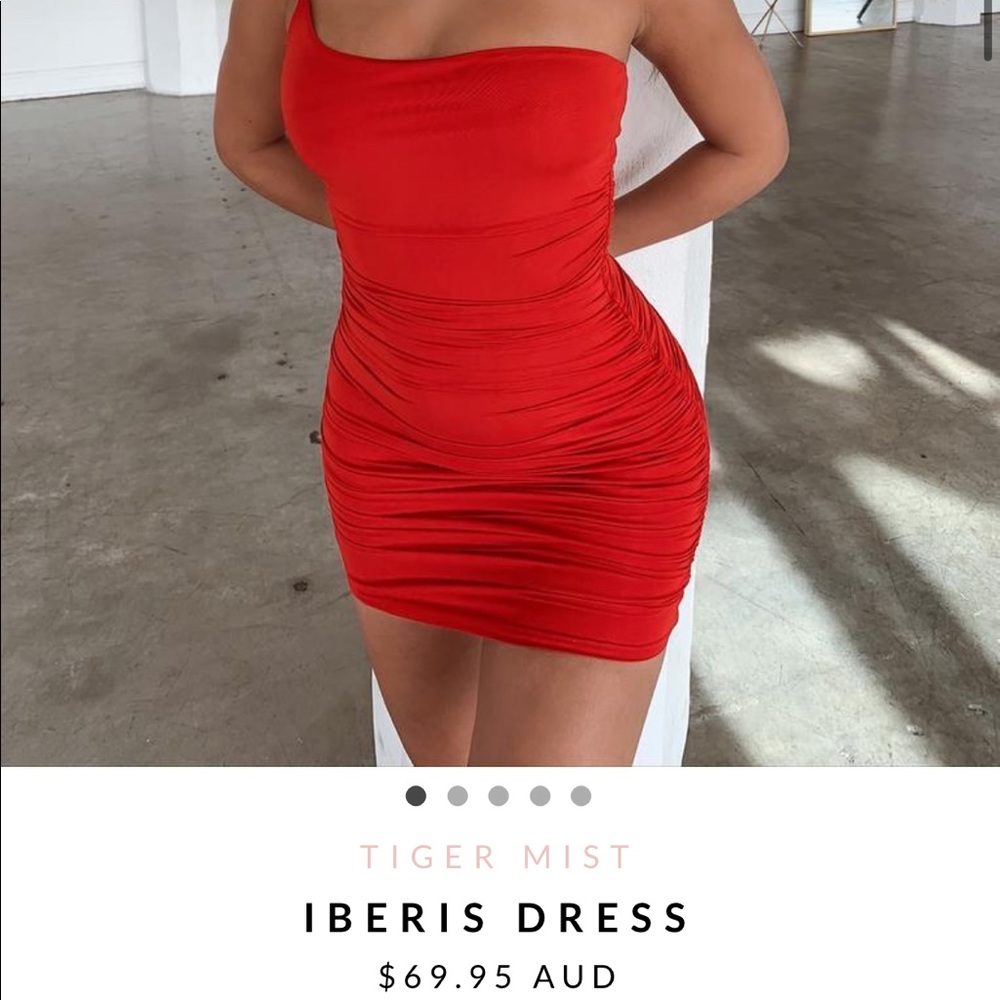 SOLD - Tiger mist Iberis dress - new and tags still on! - Picture 2 of 3
